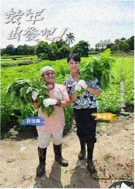 舌尖上的中国 综艺海报